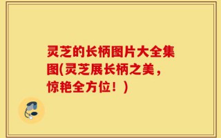 灵芝的长柄图片大全集图(灵芝展长柄之美，惊艳全方位！)