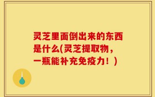 灵芝里面倒出来的东西是什么(灵芝提取物，一瓶能补充免疫力！)