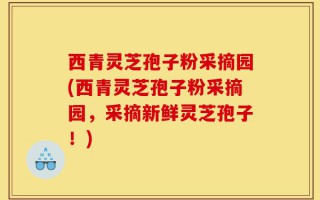 西青灵芝孢子粉采摘园(西青灵芝孢子粉采摘园，采摘新鲜灵芝孢子！)