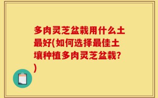 多肉灵芝盆栽用什么土最好(如何选择最佳土壤种植多肉灵芝盆栽？)