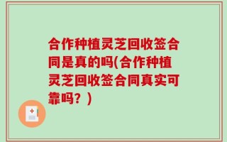 合作种植灵芝回收签合同是真的吗(合作种植灵芝回收签合同真实可靠吗？)