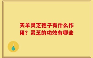 天羊灵芝孢子有什么作用？灵芝的功效有哪些