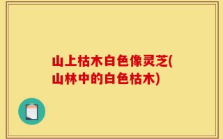 山上枯木白色像灵芝(山林中的白色枯木)