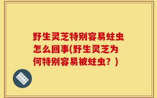 野生灵芝特别容易蛀虫怎么回事(野生灵芝为何特别容易被蛀虫？)