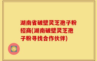 湖南省破壁灵芝孢子粉招商(湖南破壁灵芝孢子粉寻找合作伙伴)