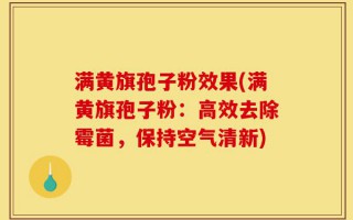 满黄旗孢子粉效果(满黄旗孢子粉：高效去除霉菌，保持空气清新)