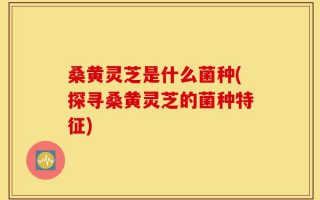 桑黄灵芝是什么菌种(探寻桑黄灵芝的菌种特征)