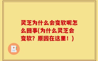 灵芝为什么会变软呢怎么回事(为什么灵芝会变软？原因在这里！)