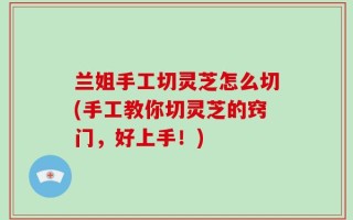 兰姐手工切灵芝怎么切(手工教你切灵芝的窍门，好上手！)
