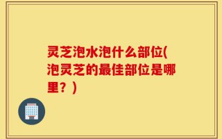 灵芝泡水泡什么部位(泡灵芝的最佳部位是哪里？)