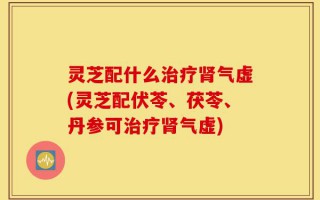 灵芝配什么治疗肾气虚(灵芝配伏苓、茯苓、丹参可治疗肾气虚)