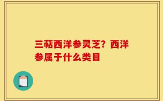 三萜西洋参灵芝？西洋参属于什么类目