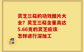 灵芝三萜的功效图片大全？灵芝三萜含量高达5.66克的灵芝应该怎样进行深加工