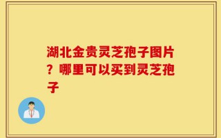 湖北金贵灵芝孢子图片？哪里可以买到灵芝孢子