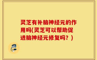 灵芝有补脑神经元的作用吗(灵芝可以帮助促进脑神经元修复吗？)