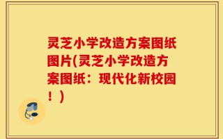 灵芝小学改造方案图纸图片(灵芝小学改造方案图纸：现代化新校园！)