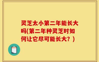 灵芝太小第二年能长大吗(第二年种灵芝时如何让它尽可能长大？)