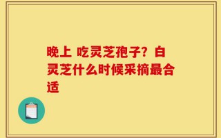 晚上 吃灵芝孢子？白灵芝什么时候采摘最合适