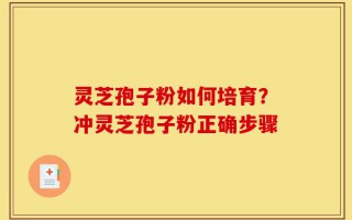 灵芝孢子粉如何培育？冲灵芝孢子粉正确步骤