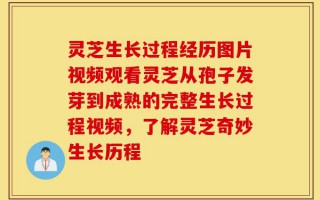 灵芝生长过程经历图片视频观看灵芝从孢子发芽到成熟的完整生长过程视频，了解灵芝奇妙生长历程