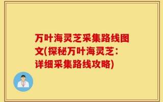 万叶海灵芝采集路线图文(探秘万叶海灵芝：详细采集路线攻略)
