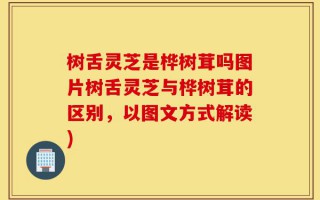 树舌灵芝是桦树茸吗图片树舌灵芝与桦树茸的区别，以图文方式解读)