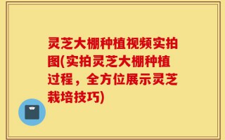 灵芝大棚种植视频实拍图(实拍灵芝大棚种植过程，全方位展示灵芝栽培技巧)