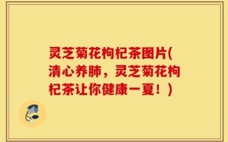 灵芝菊花枸杞茶图片(清心养肺，灵芝菊花枸杞茶让你健康一夏！)