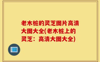 老木桩的灵芝图片高清大图大全(老木桩上的灵芝：高清大图大全)
