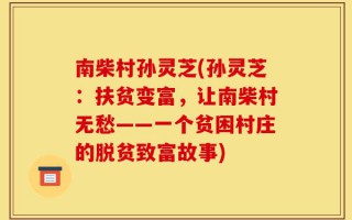 南柴村孙灵芝(孙灵芝：扶贫变富，让南柴村无愁——一个贫困村庄的脱贫致富故事)