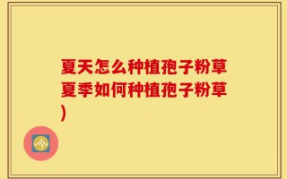 夏天怎么种植孢子粉草夏季如何种植孢子粉草)