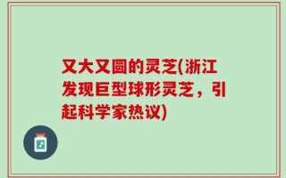 又大又圆的灵芝(浙江发现巨型球形灵芝，引起科学家热议)