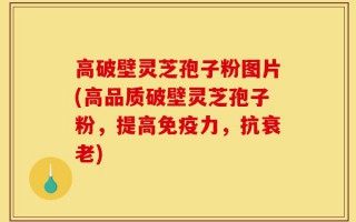 高破壁灵芝孢子粉图片(高品质破壁灵芝孢子粉，提高免疫力，抗衰老)