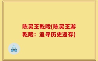 陈灵芝乾陵(陈灵芝游乾陵：追寻历史遗存)