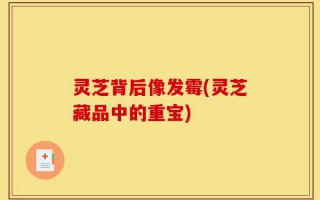 灵芝背后像发霉(灵芝藏品中的重宝)