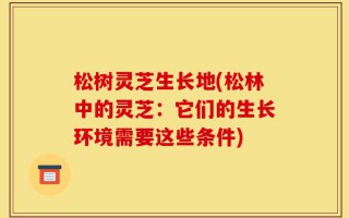 松树灵芝生长地(松林中的灵芝：它们的生长环境需要这些条件)