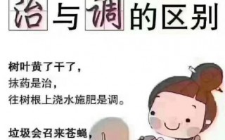 灵芝孢子粉怎么吃？多少度的水合适？