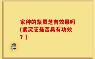 家种的紫灵芝有效果吗(紫灵芝是否具有功效？)