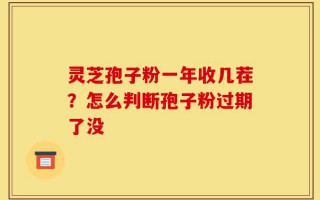 灵芝孢子粉一年收几茬？怎么判断孢子粉过期了没