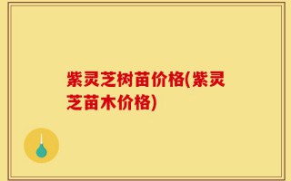 紫灵芝树苗价格(紫灵芝苗木价格)