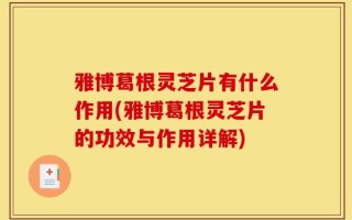 雅博葛根灵芝片有什么作用(雅博葛根灵芝片的功效与作用详解)