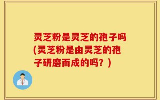 灵芝粉是灵芝的孢子吗(灵芝粉是由灵芝的孢子研磨而成的吗？)