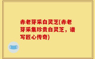 赤老芽采白灵芝(赤老芽采集珍贵白灵芝，谱写匠心传奇)