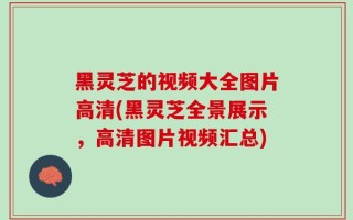 黑灵芝的视频大全图片高清(黑灵芝全景展示，高清图片视频汇总)