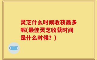 灵芝什么时候收获最多呢(最佳灵芝收获时间是什么时候？)
