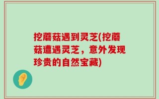 挖蘑菇遇到灵芝(挖蘑菇遭遇灵芝，意外发现珍贵的自然宝藏)