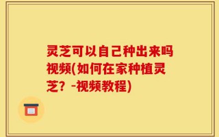 灵芝可以自己种出来吗视频(如何在家种植灵芝？-视频教程)