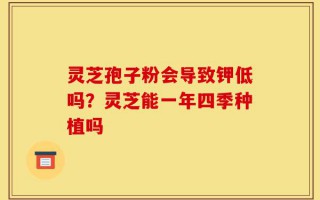 灵芝孢子粉会导致钾低吗？灵芝能一年四季种植吗