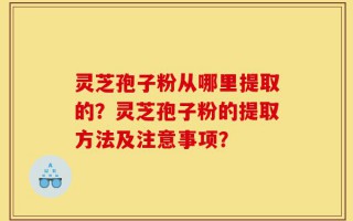 灵芝孢子粉从哪里提取的？灵芝孢子粉的提取方法及注意事项？