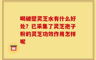 喝破壁灵芝水有什么好处？已采集了灵芝孢子粉的灵芝功效作用怎样呢